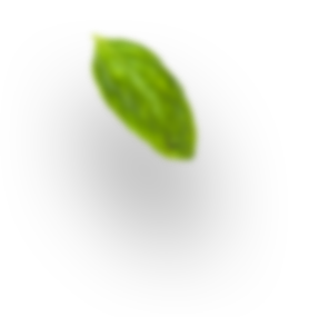 h4_leaf-1